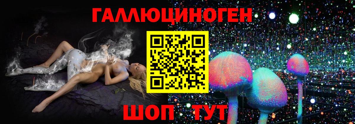 Галлюциногенные грибы прущие грибы Каменск-Шахтинский