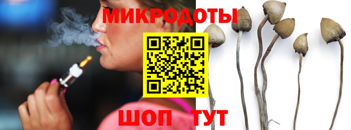 Каменск-Шахтинский  Псилоцибиновые грибы мухоморы  Вход с VPN 
